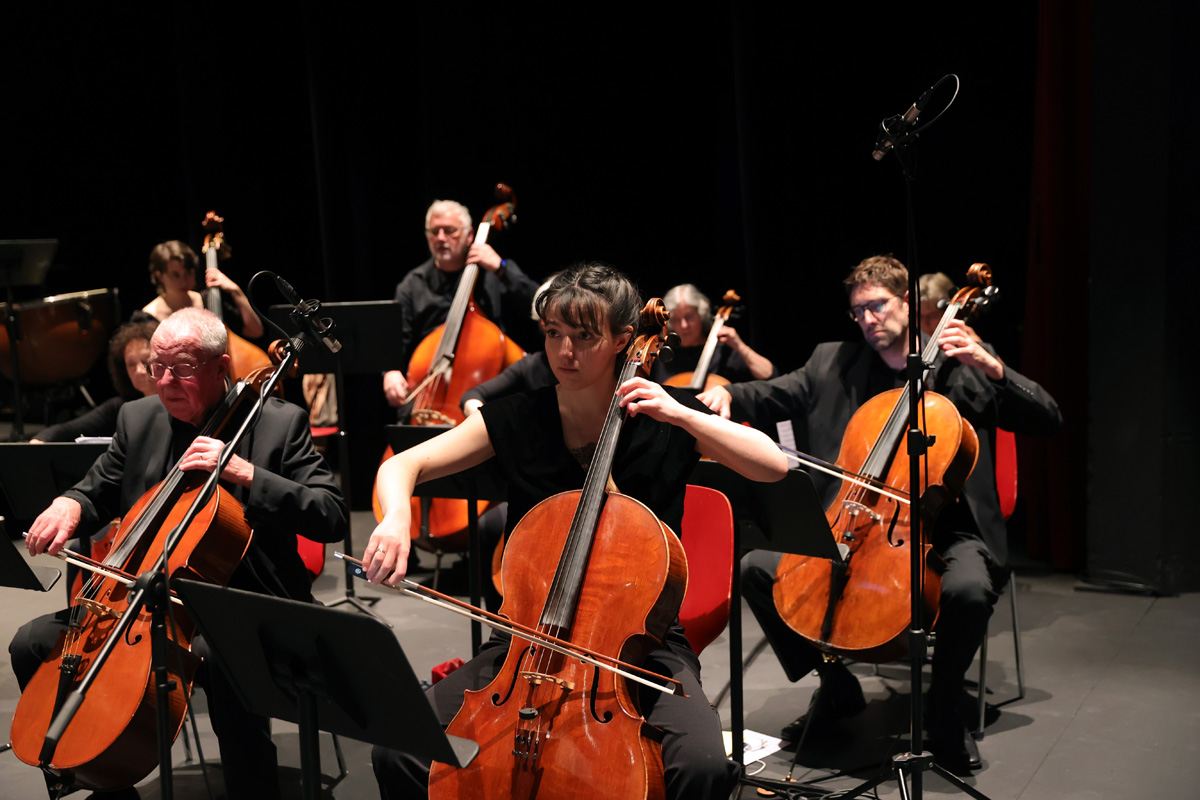 Violoncelles et contrebasses
Photographe : Roger Uhlmann